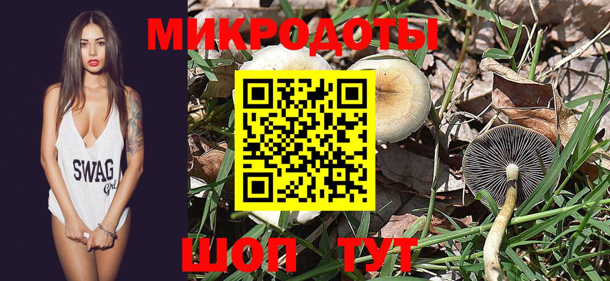 Псилоцибиновые грибы MAGIC MUSHROOMS  Вход с VPN  Галлюциногенные грибы Cubensis  Мурманск 